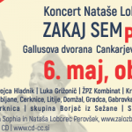 Sodelovanje na prireditvi Zakaj sem partizan Sodelovanje na prireditvi Zakaj sem partizan